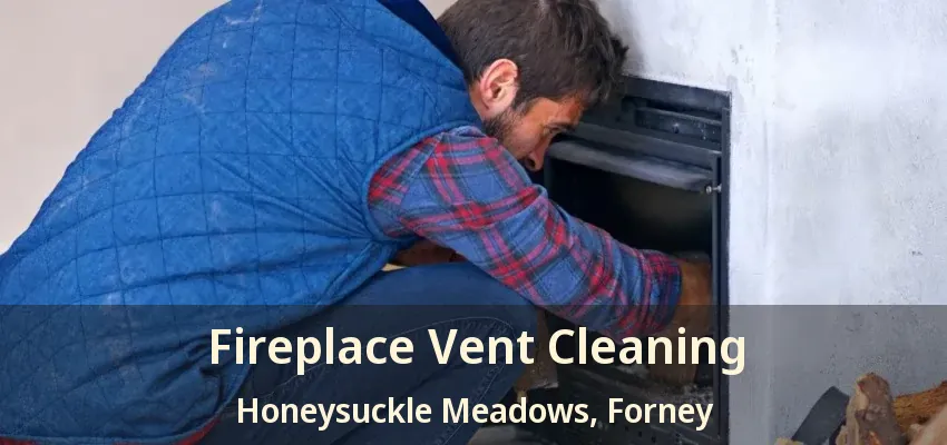 Fireplace Vent Cleaning Honeysuckle Meadows, Forney - TX