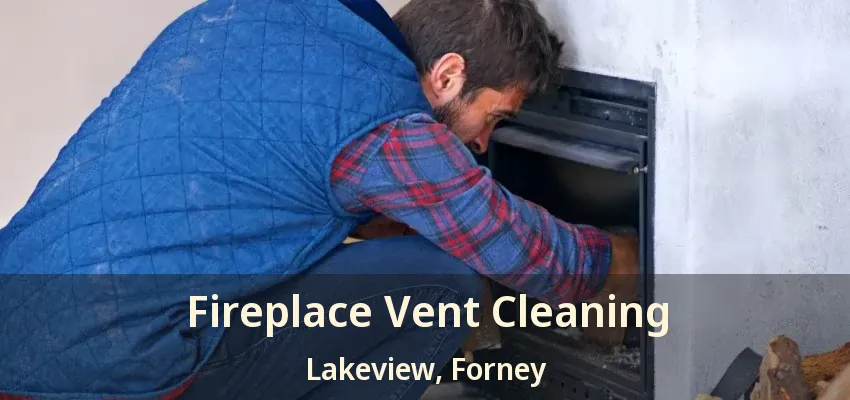 Fireplace Vent Cleaning Lakeview, Forney - TX