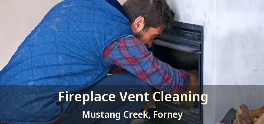 Fireplace Vent Cleaning Mustang Creek, Forney - TX