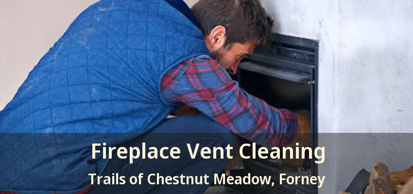 Fireplace Vent Cleaning Trails of Chestnut Meadow, Forney - TX