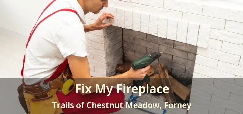 Fix My Fireplace Trails of Chestnut Meadow, Forney - TX
