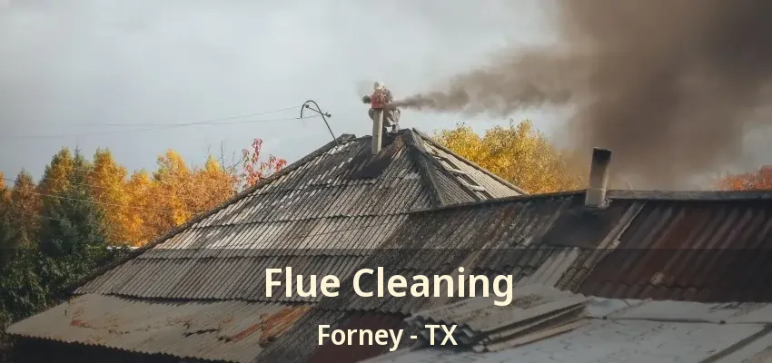 Flue Cleaning Forney - TX