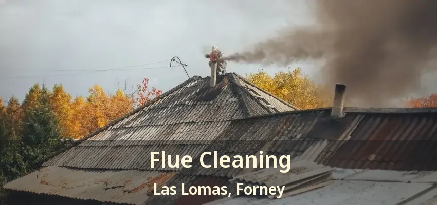 Flue Cleaning Las Lomas, Forney - TX