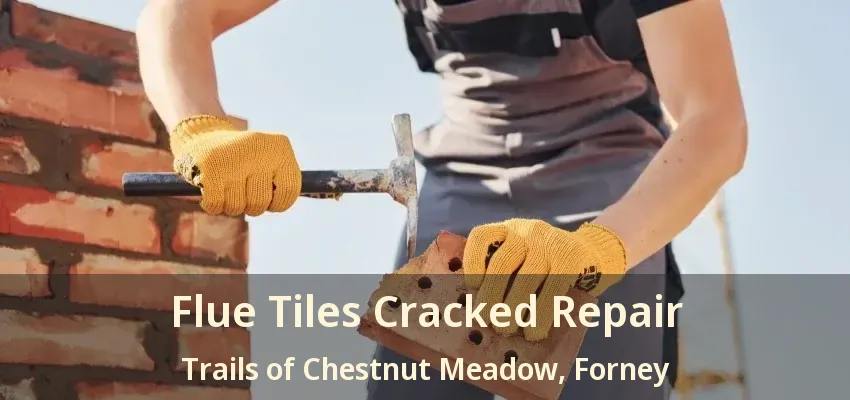 Flue Tiles Cracked Repair Trails of Chestnut Meadow, Forney - TX