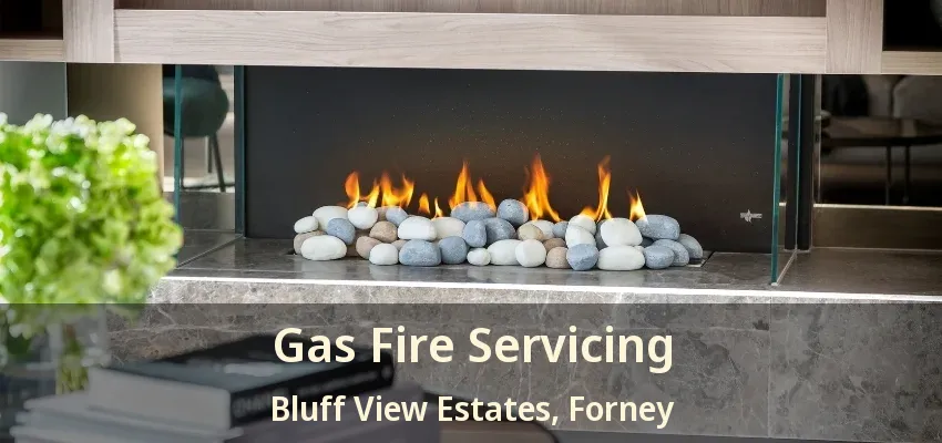 Gas Fire Servicing Bluff View Estates, Forney - TX