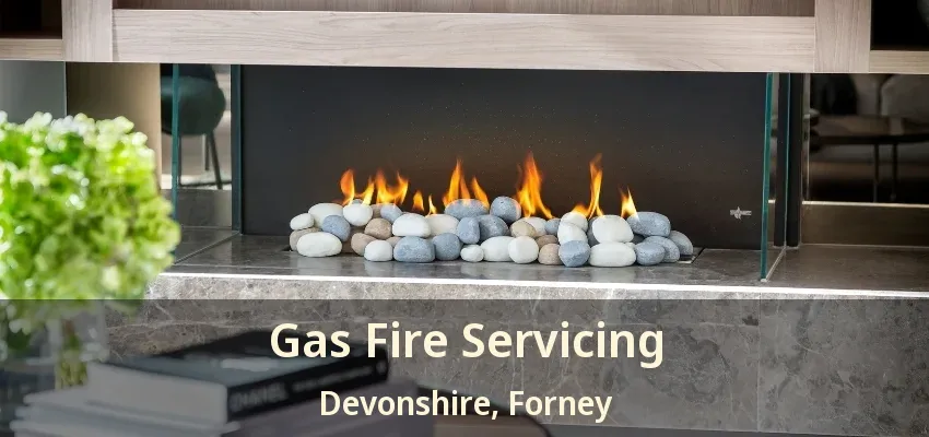 Gas Fire Servicing Devonshire, Forney - TX
