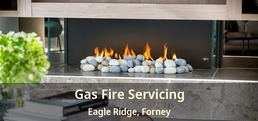 Gas Fire Servicing Eagle Ridge, Forney - TX
