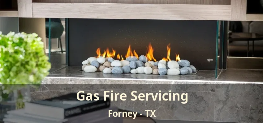 Gas Fire Servicing Forney - TX