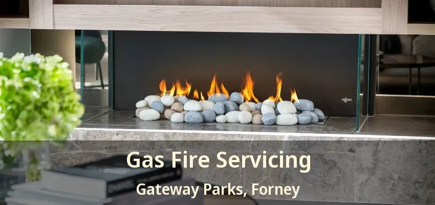 Gas Fire Servicing Gateway Parks, Forney - TX