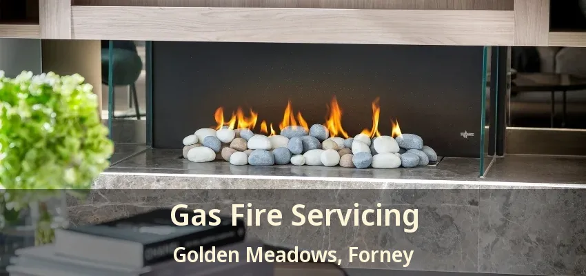 Gas Fire Servicing Golden Meadows, Forney - TX