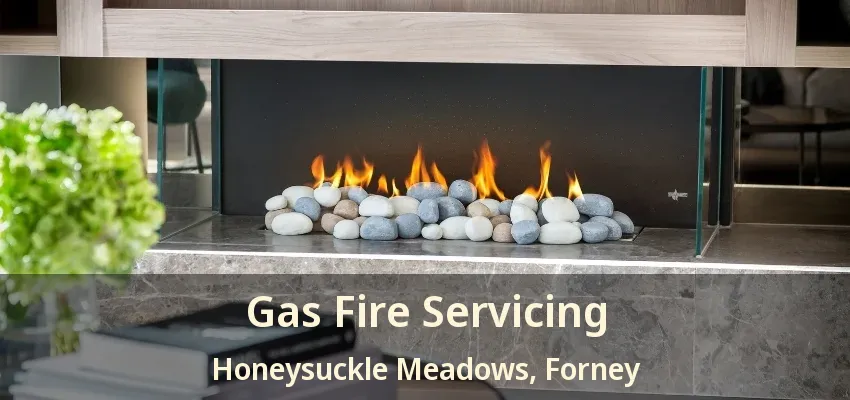 Gas Fire Servicing Honeysuckle Meadows, Forney - TX