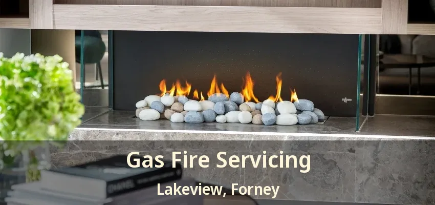 Gas Fire Servicing Lakeview, Forney - TX