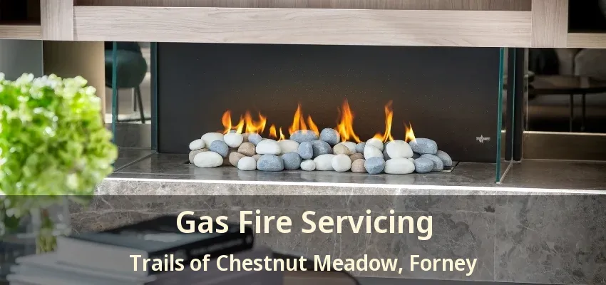 Gas Fire Servicing Trails of Chestnut Meadow, Forney - TX