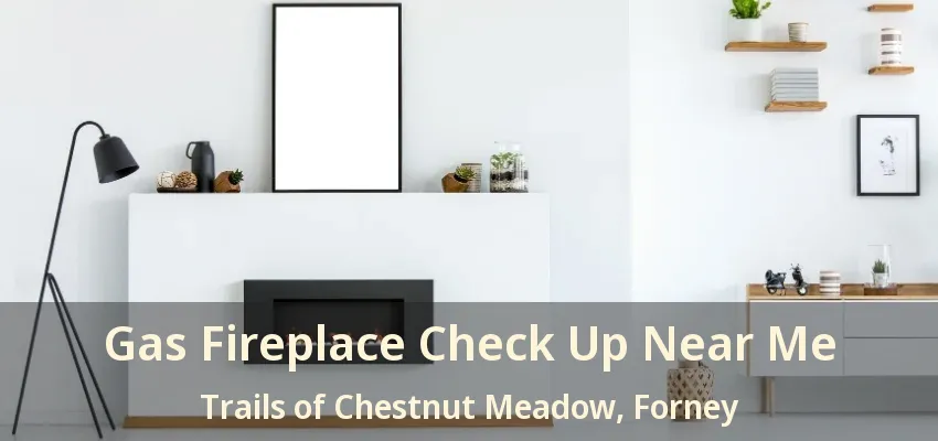 Gas Fireplace Check Up Near Me Trails of Chestnut Meadow, Forney - TX