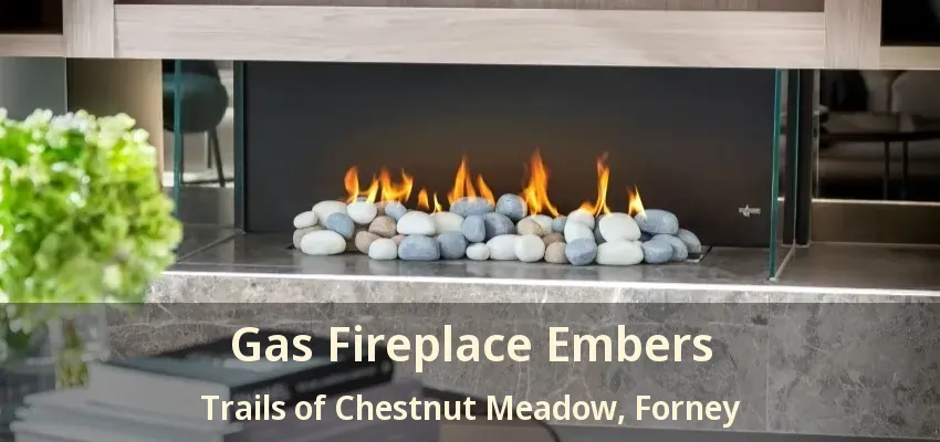 Gas Fireplace Embers Trails of Chestnut Meadow, Forney - TX
