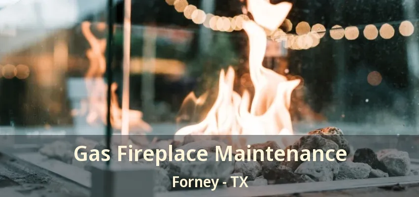 Gas Fireplace Maintenance Forney - TX