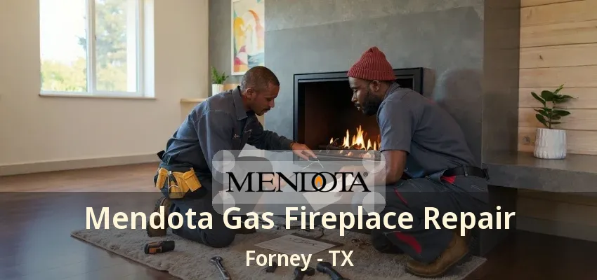 Mendota Gas Fireplace Repair Forney - TX