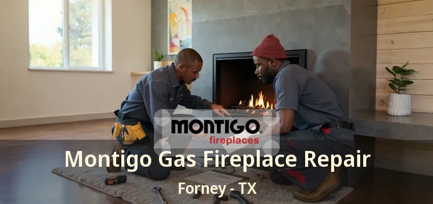 Montigo Gas Fireplace Repair Forney - TX