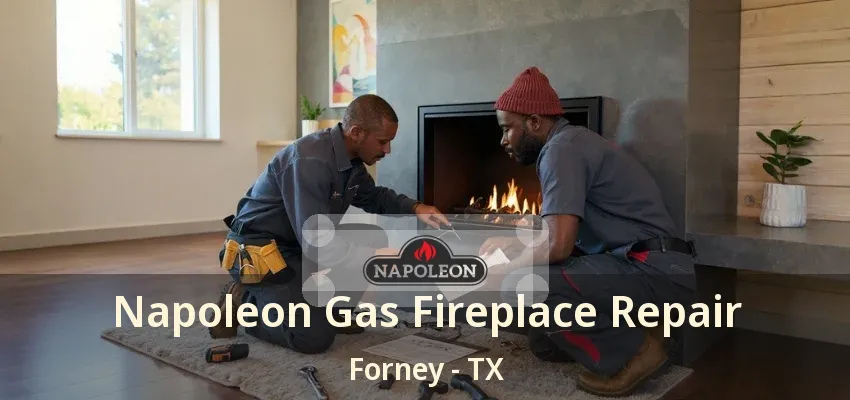 Napoleon Gas Fireplace Repair Forney - TX