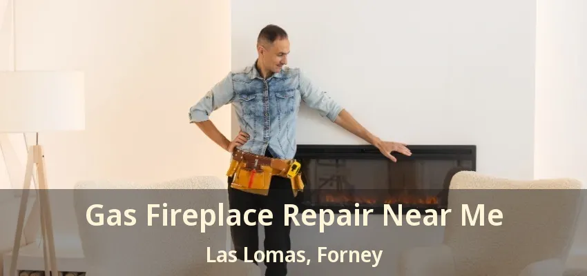 Gas Fireplace Repair Near Me Las Lomas, Forney - TX