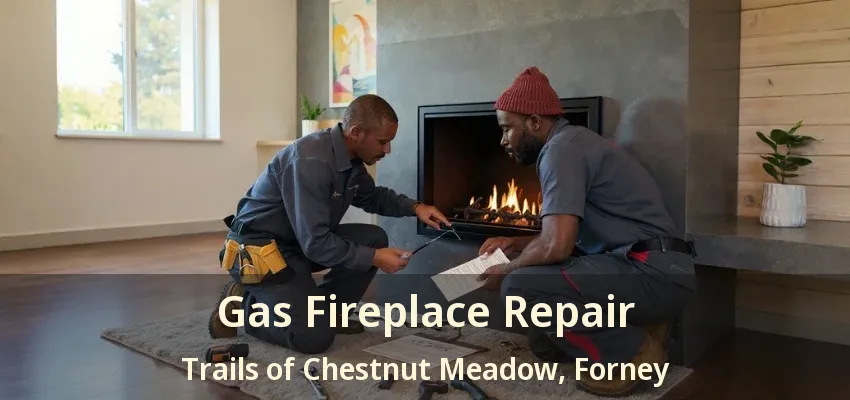 Gas Fireplace Repair Trails of Chestnut Meadow, Forney - TX