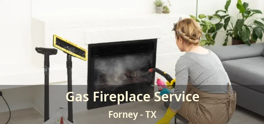 Gas Fireplace Service Forney - TX