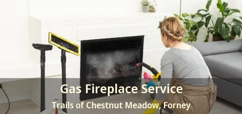 Gas Fireplace Service Trails of Chestnut Meadow, Forney - TX