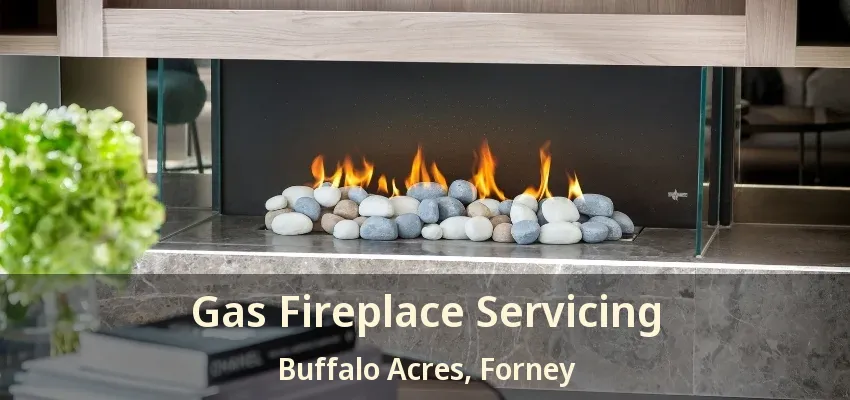 Gas Fireplace Servicing Buffalo Acres, Forney - TX