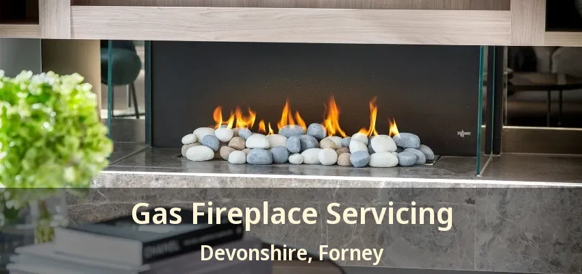Gas Fireplace Servicing Devonshire, Forney - TX