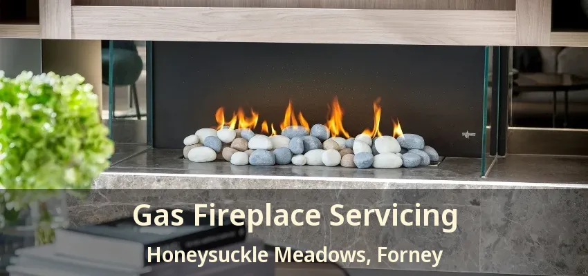 Gas Fireplace Servicing Honeysuckle Meadows, Forney - TX