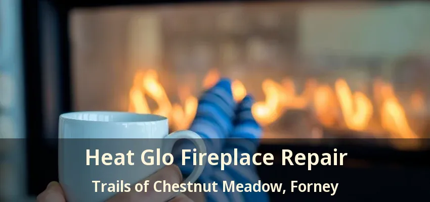 Heat Glo Fireplace Repair Trails of Chestnut Meadow, Forney - TX