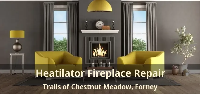 Heatilator Fireplace Repair Trails of Chestnut Meadow, Forney - TX