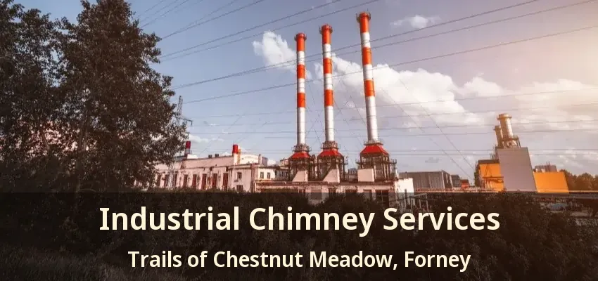 Industrial Chimney Services Trails of Chestnut Meadow, Forney - TX
