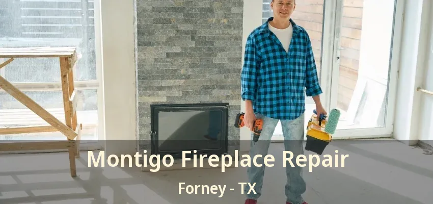 Montigo Fireplace Repair Forney - TX
