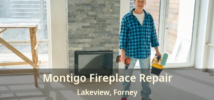 Montigo Fireplace Repair Lakeview, Forney - TX