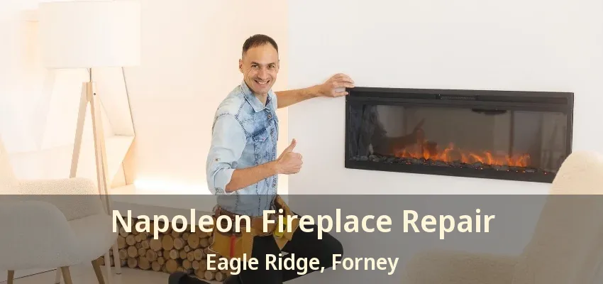 Napoleon Fireplace Repair Eagle Ridge, Forney - TX