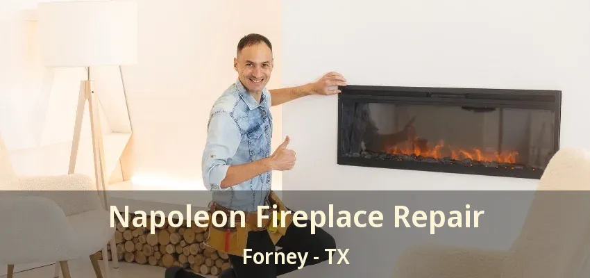 Napoleon Fireplace Repair Forney - TX