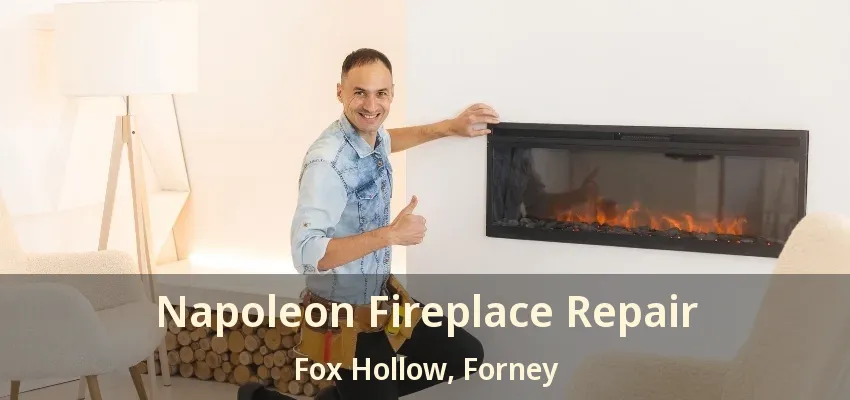Napoleon Fireplace Repair Fox Hollow, Forney - TX