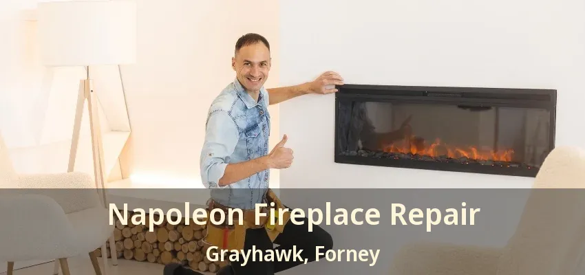 Napoleon Fireplace Repair Grayhawk, Forney - TX