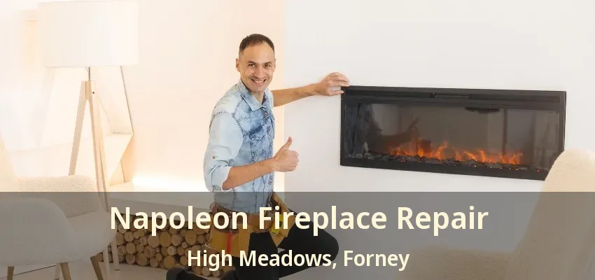 Napoleon Fireplace Repair High Meadows, Forney - TX