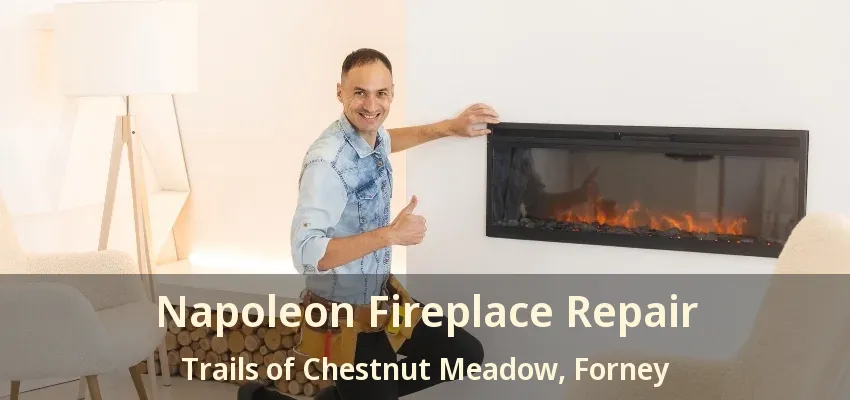 Napoleon Fireplace Repair Trails of Chestnut Meadow, Forney - TX