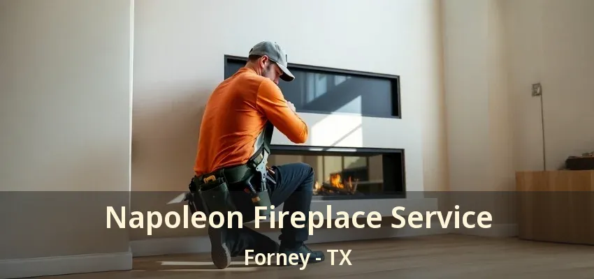 Napoleon Fireplace Service Forney - TX