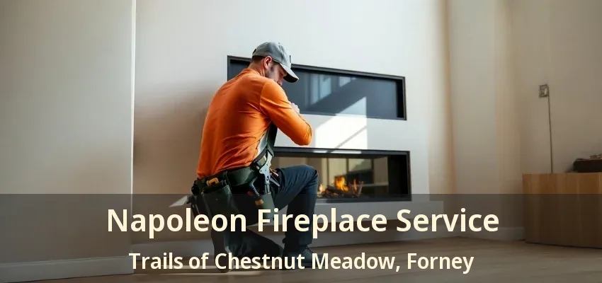 Napoleon Fireplace Service Trails of Chestnut Meadow, Forney - TX