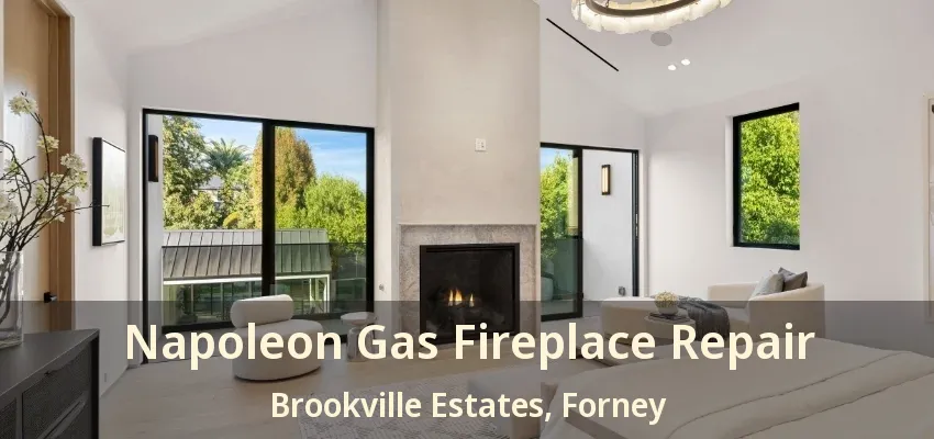 Napoleon Gas Fireplace Repair Brookville Estates, Forney - TX