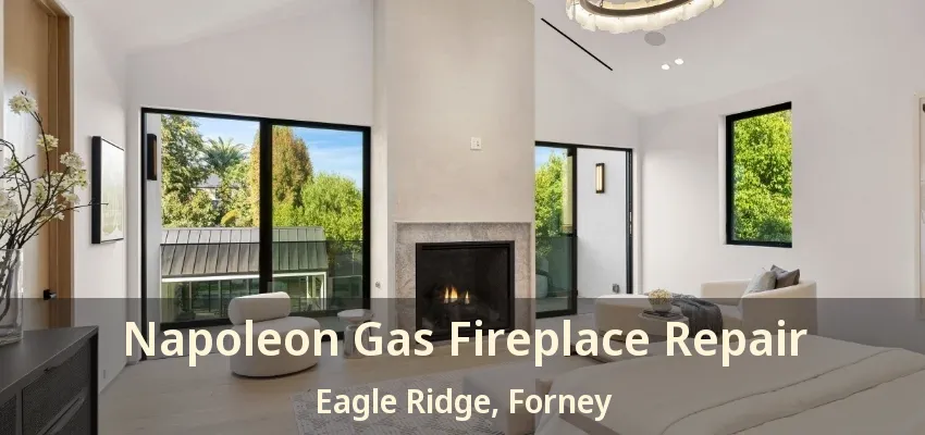 Napoleon Gas Fireplace Repair Eagle Ridge, Forney - TX