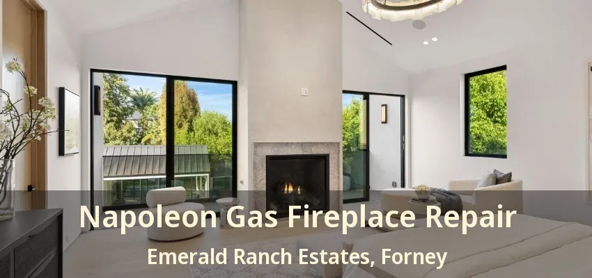 Napoleon Gas Fireplace Repair Emerald Ranch Estates, Forney - TX