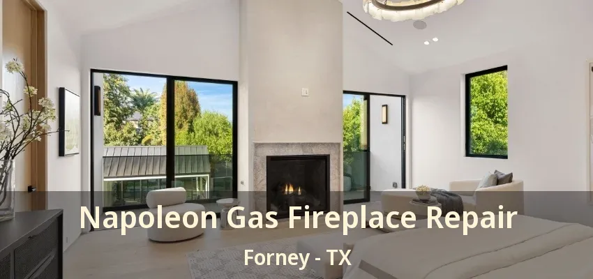 Napoleon Gas Fireplace Repair Forney - TX