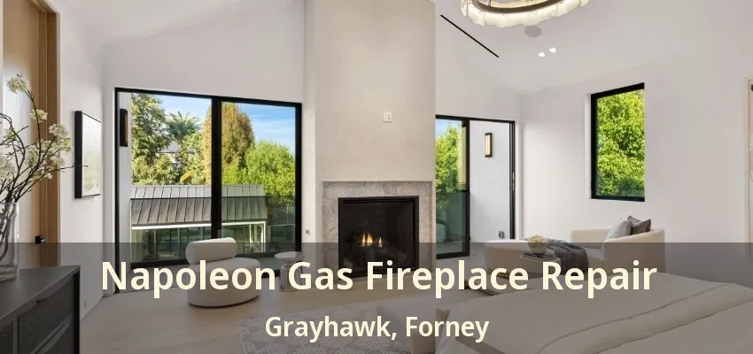 Napoleon Gas Fireplace Repair Grayhawk, Forney - TX