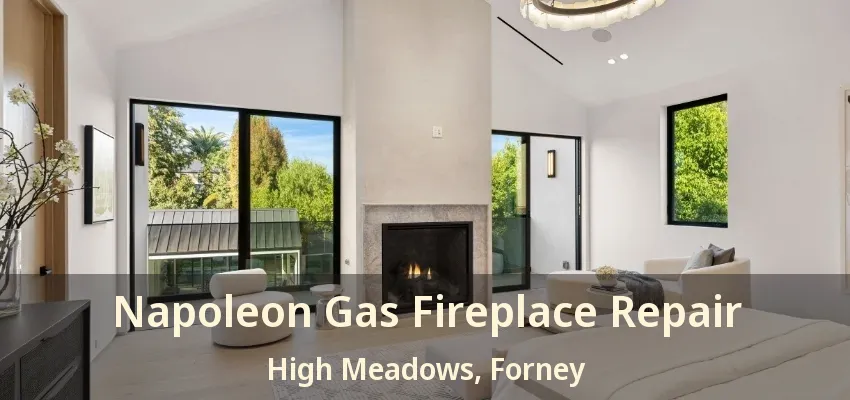 Napoleon Gas Fireplace Repair High Meadows, Forney - TX