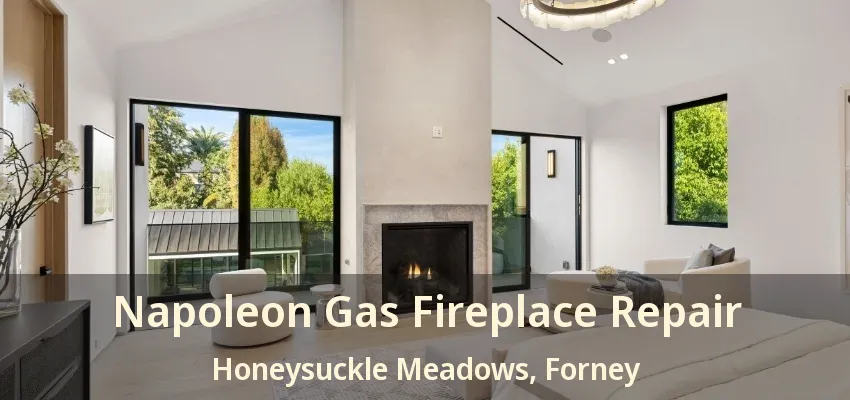 Napoleon Gas Fireplace Repair Honeysuckle Meadows, Forney - TX